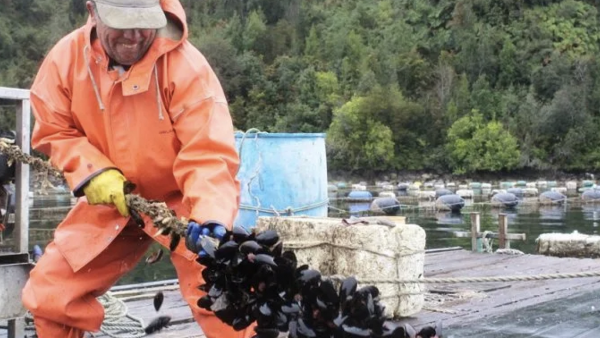 INCAR marcará presencia en Foro Iberoamericano de Recursos Marinos y Acuicultura